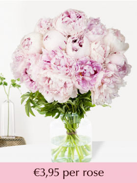 Choose your number soft pink peonies from 10 till 99