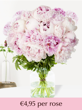 Choose your number soft pink peonies from 10 till 99