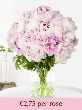 Choose your number soft pink peonies from 10 till 99