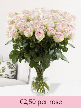100 to 499 soft pink roses