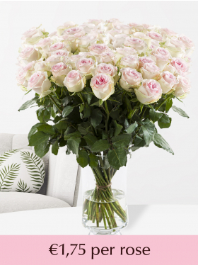 100 to 499 soft pink roses