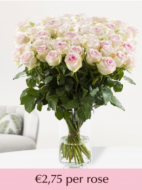 100 to 499 soft pink roses