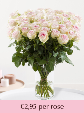100 to 499 soft pink roses