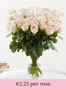 100 to 499 soft pink roses