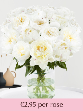 White peonies - 10 till 99 roses
