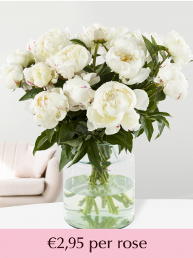 White peonies - 10 till 99 roses