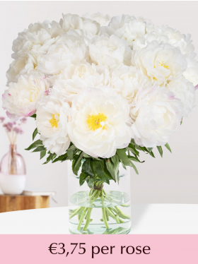 Choose your number of white-pink peonies