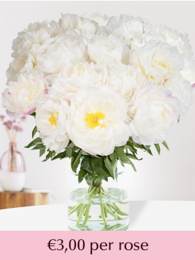 Choose your number of white-pink peonies