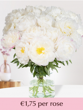Choose your number of white-pink peonies