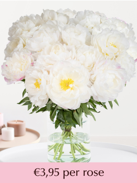 Choose your number of white-pink peonies