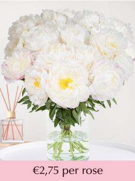 Choose your number of white-pink peonies