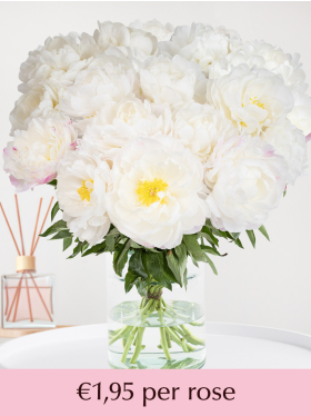 Choose your number of white-pink peonies