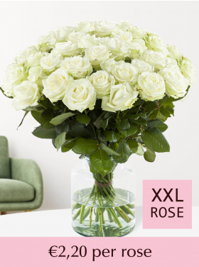 Choose your number of white roses - 100 till 499