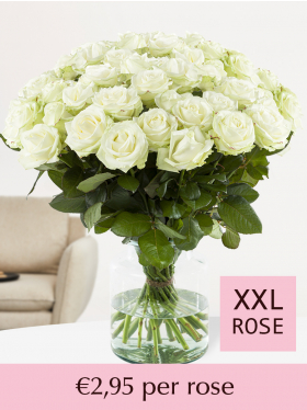 Choose your number of white roses - 100 till 499