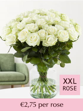 Choose your number of white roses - 100 till 499