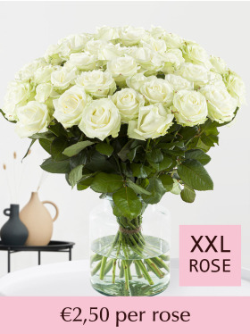 Choose your number of white roses - 100 till 499