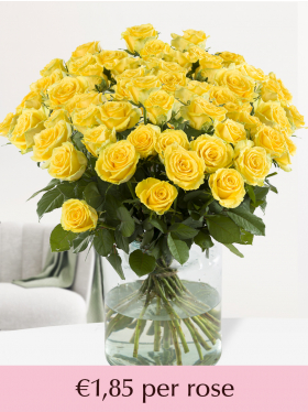 100 to 499 yellow roses