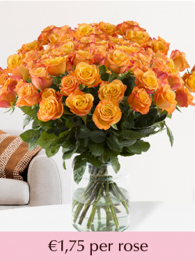 100 to 499 orange roses