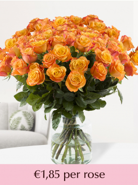 100 to 499 orange roses