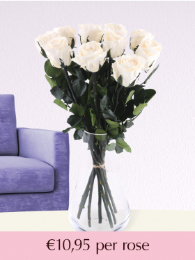 Cream-coloured long life roses - Choose your number from 5 till 20