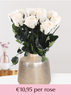 Cream coloured long life roses
