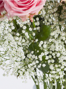 Add gypsophila to your bouquet