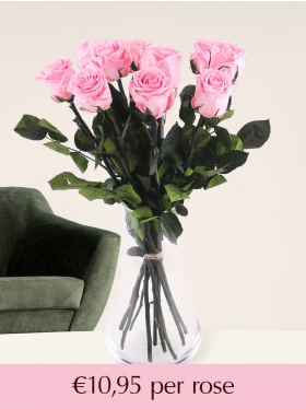 Pink long life roses - Choose your number from 5 till 20
