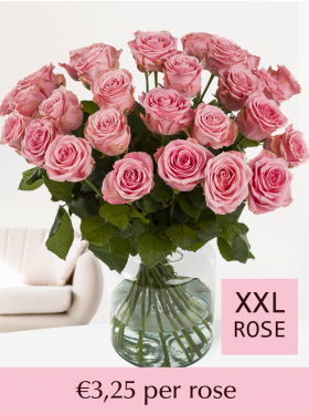 Choose your number pink roses - Sophia Loren