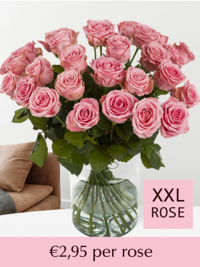 Choose your number pink roses - Sophia Loren