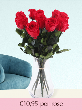 Red long life roses - Choose your number from 5 till 20