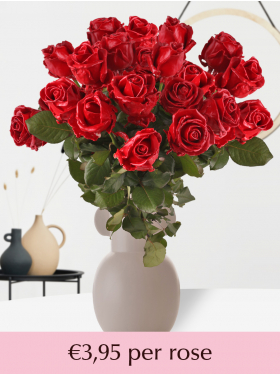 Red Roses - Send Red Rose Bouquets | SURPROSE