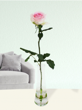 Single pink rose including glass vase - Sweet Revival