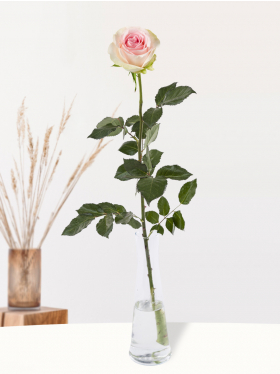 Single pink rose including glass vase - Sweet Revival