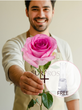 Single pink rose, including glass vase - Revival