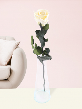 Single white long life rose including vase