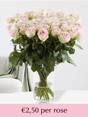 10 to 99 soft pink roses
