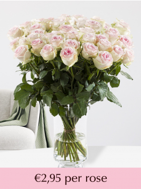 Surprose.com: Order roses online | Delivery in NL, DE and BE
