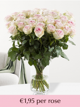 10 to 99 soft pink roses