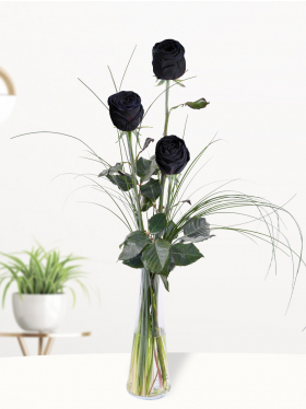 Three black roses, including vase