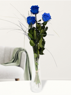 Three blue long life roses including glass vase