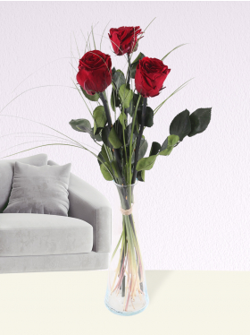Three burgundy red long life roses including vase