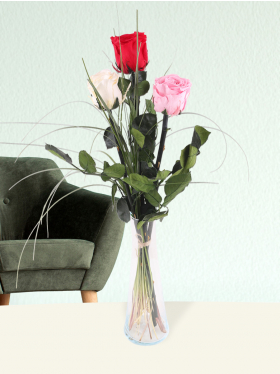 Three colourful long life roses including vase