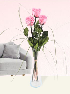 Three pink long life roses including vase