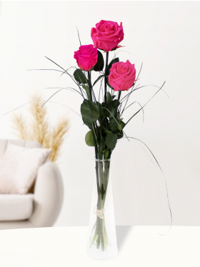 Three pink long life roses including vase