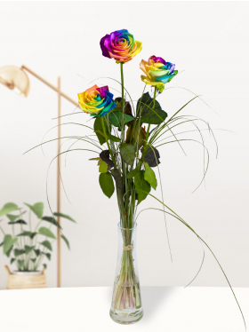 Three rainbow roses, including vase