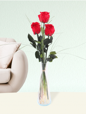Three red long life roses including vase
