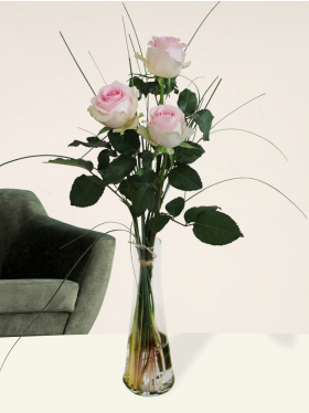 Three soft pink roses, including vase - Sweet Revival