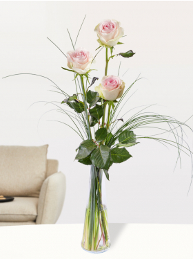 Three soft pink roses, including vase - Sweet Revival