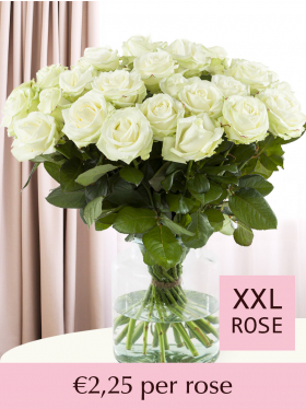 10 to 101 white roses