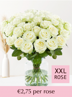 10 to 99 white roses